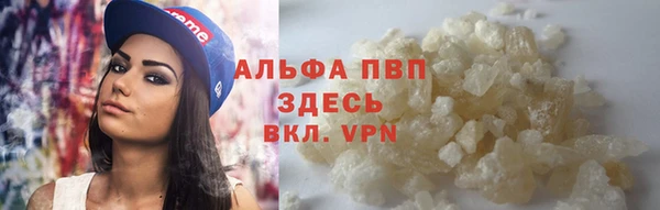 Альфа ПВП Белокуриха