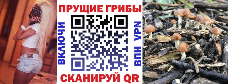 Псилоцибиновые грибы Magic Shrooms  Оха 